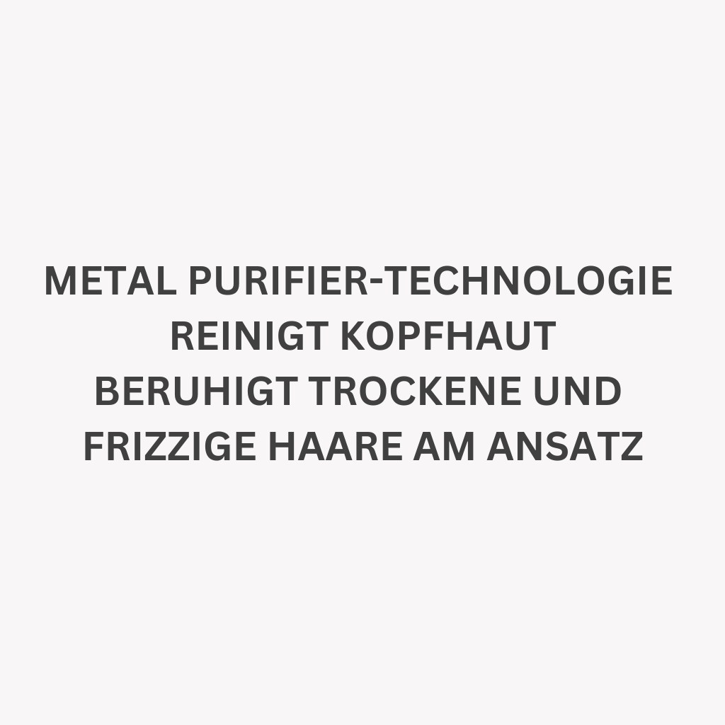 metal purifier technologie