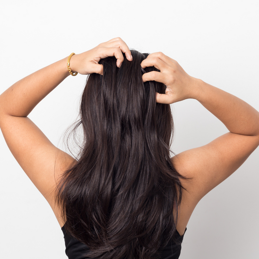 Frau mit langen Haaren von hinten – Thema fettige Kopfhaut und passende Haarpflege