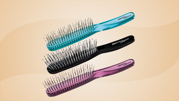 Hercules Sägemann Zauberbürste